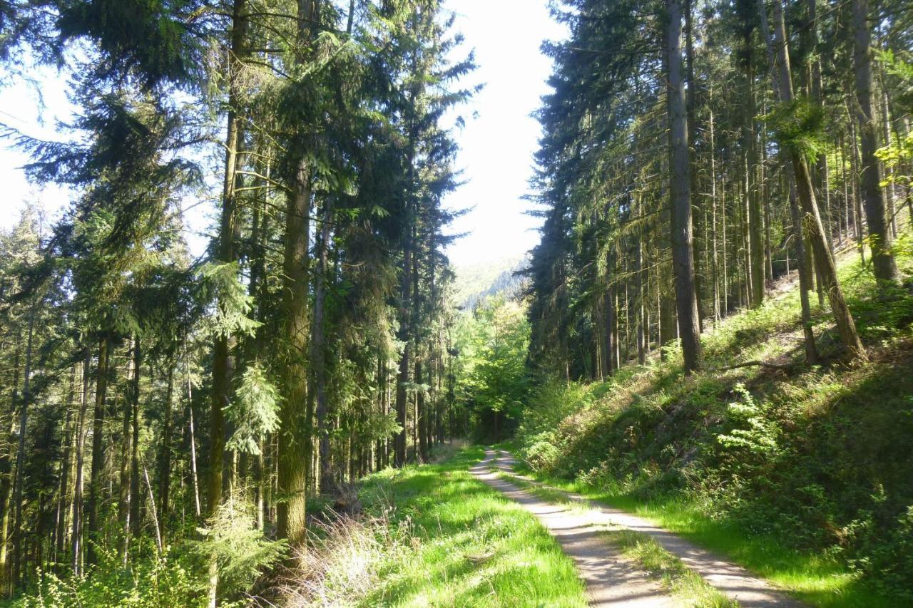 Appartamento Moselschiefer Neu Ab Mai 2023 Traben-Trarbach Esterno foto