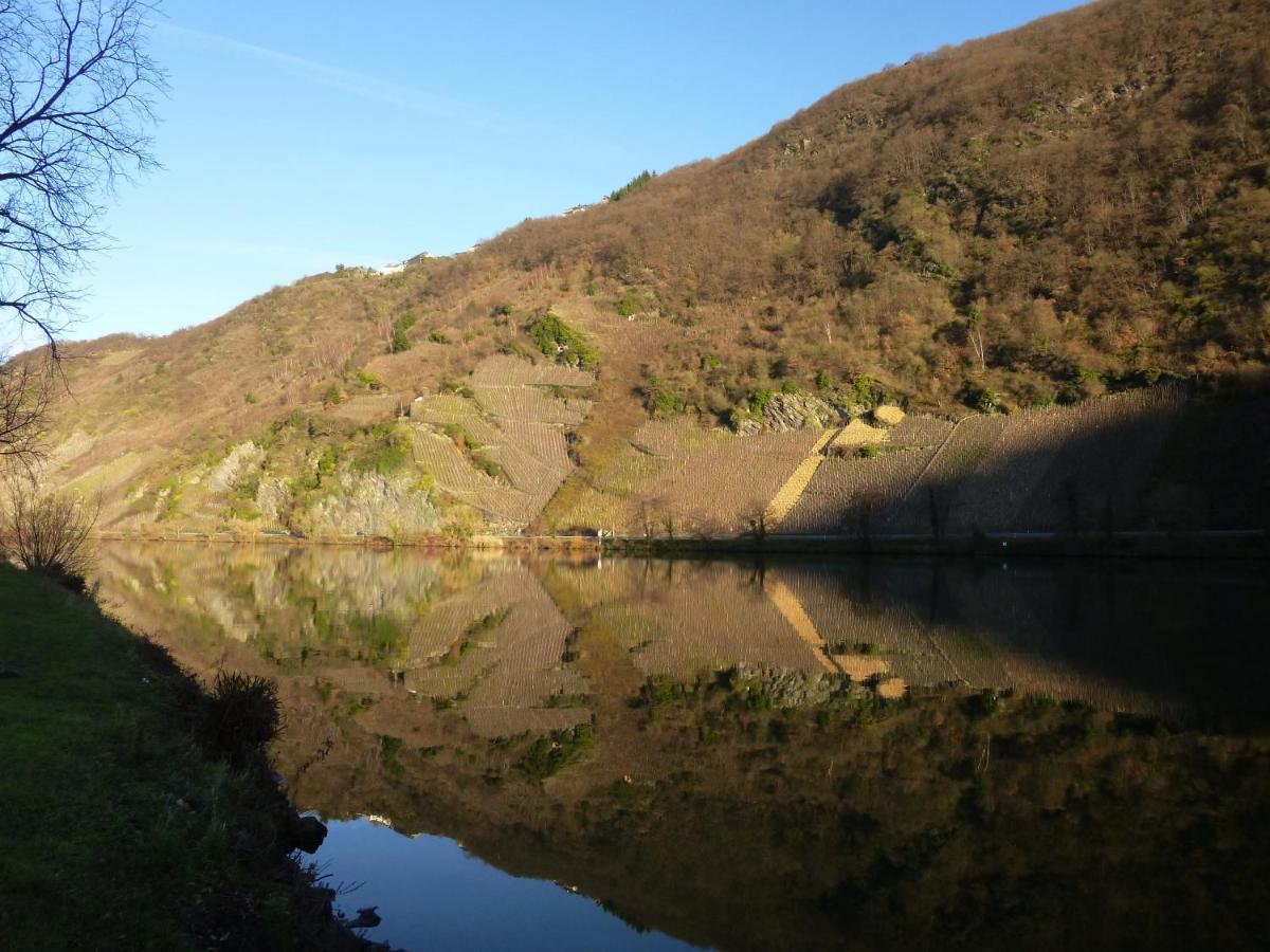 Appartamento Moselschiefer Neu Ab Mai 2023 Traben-Trarbach Esterno foto
