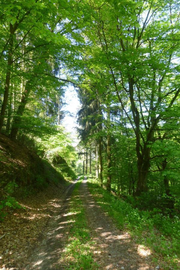 Appartamento Moselschiefer Neu Ab Mai 2023 Traben-Trarbach Esterno foto